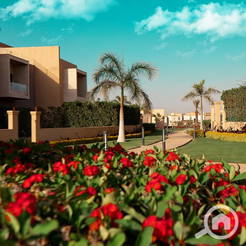 4 9f497d18-2f0e-46c6-ac75-f19e5d60166b. jpeg