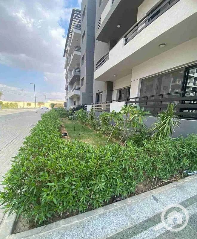 8 496368344_693471570050530_8011650819533570647_n. jpg