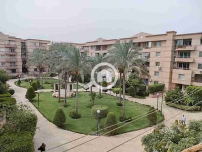 3 Bedroom Apartment for Sale in New Cairo, Cairo - IMG-20250509-WA0400. jpg 3 Bedroom Apartment for Sale in New Cairo, Cairo - IMG-20250509-WA0400. jpg