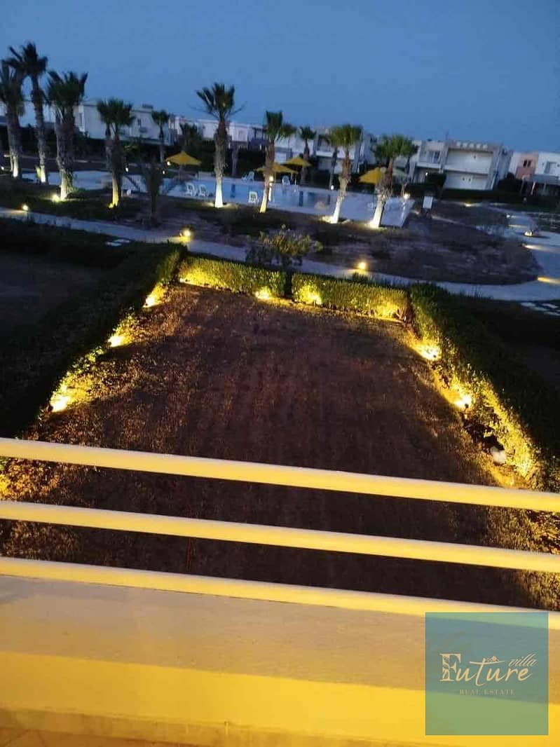 4 5d550596-dc32-44d2-b745-3cf418e70fa2. jpg