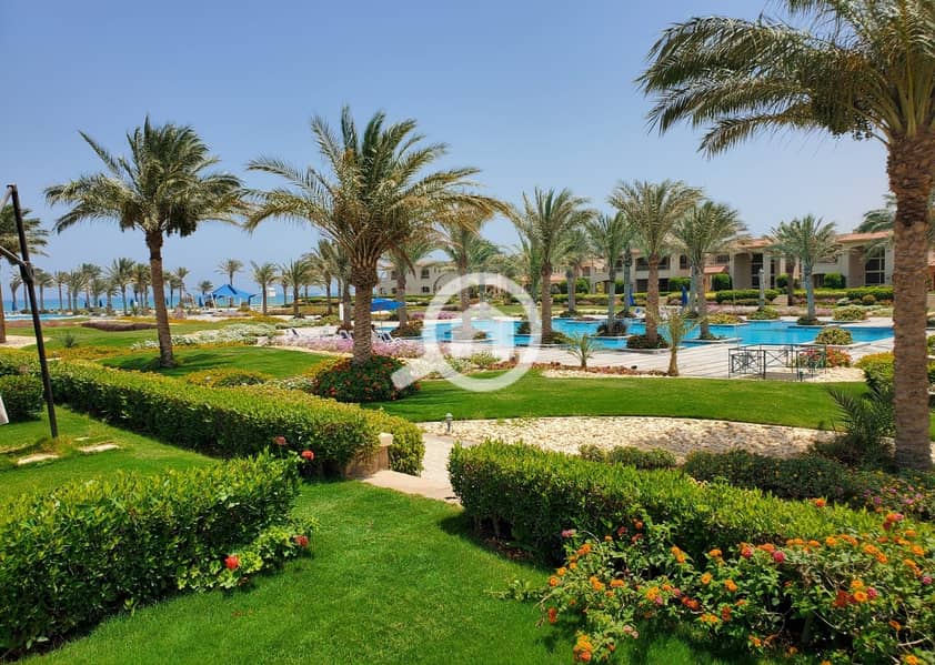 4 492270809_10231254283715093_6119005747277001569_n. jpg