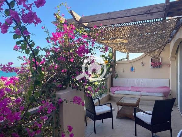 7 547268445_683898074723345_4884119704504106932_n. jpg