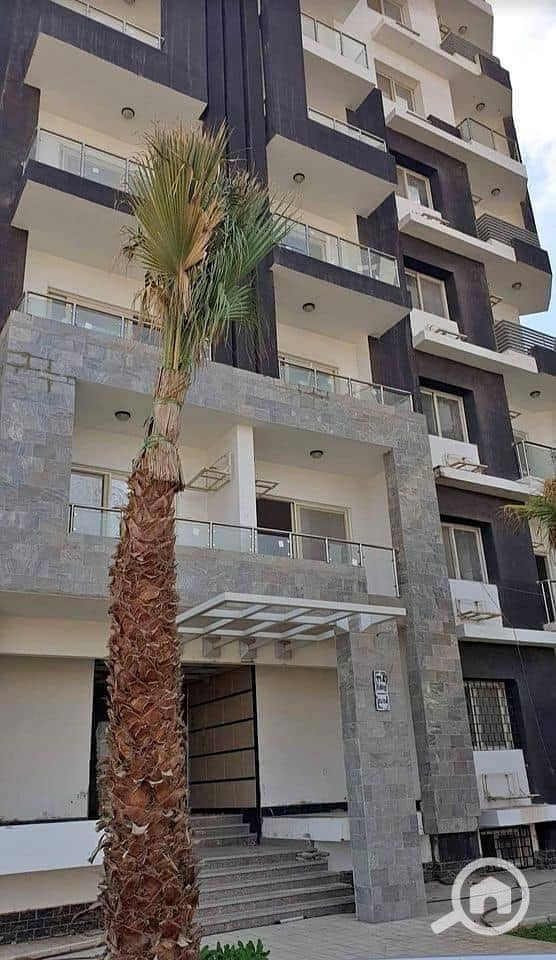 3 464625572_2153001125094569_585491171977988022_n. jpg