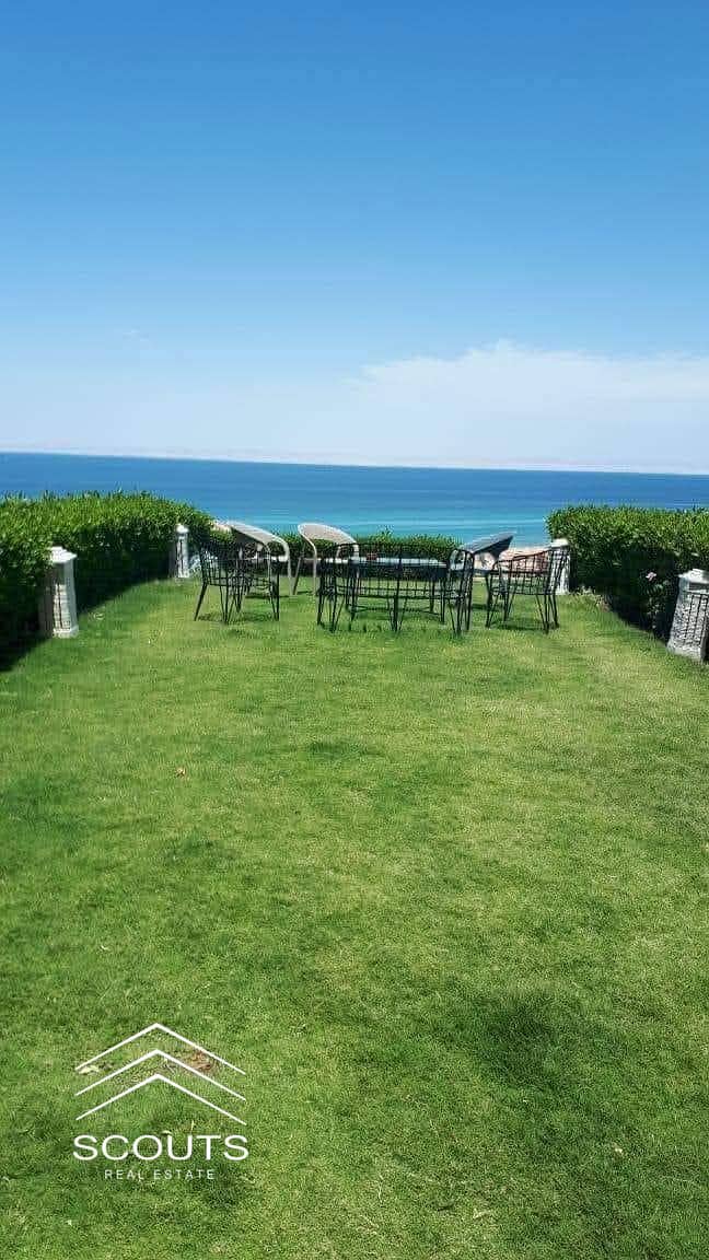 16 476664413_2844818392364955_712274769901904400_n. jpg