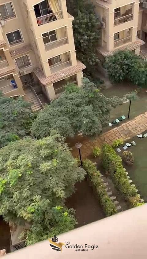 10 573284563_1497782221452305_5839235687914093254_n. jpg