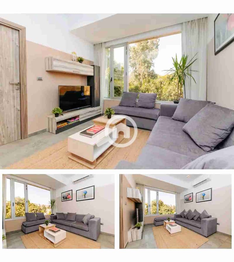 1000101498. jpg 1000101498. jpg