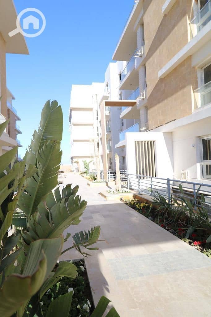 9 4559975e-1646-4fd9-b26f-f129c4728ac7. jpeg