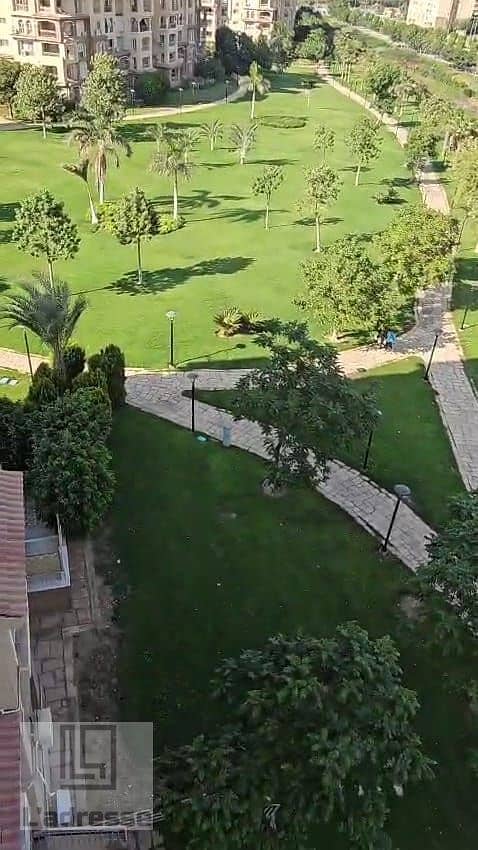 4 IMG-20251031-WA0065. jpg