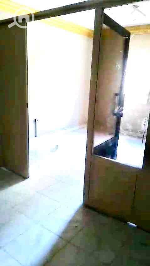 2 393286e0-ddbc-4e3a-ac8c-07bc25b8faa5. jpg