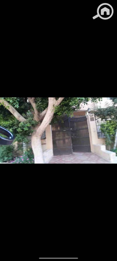 4 Bedroom Flat for Rent in New Cairo, Cairo - 1000030107. jpg