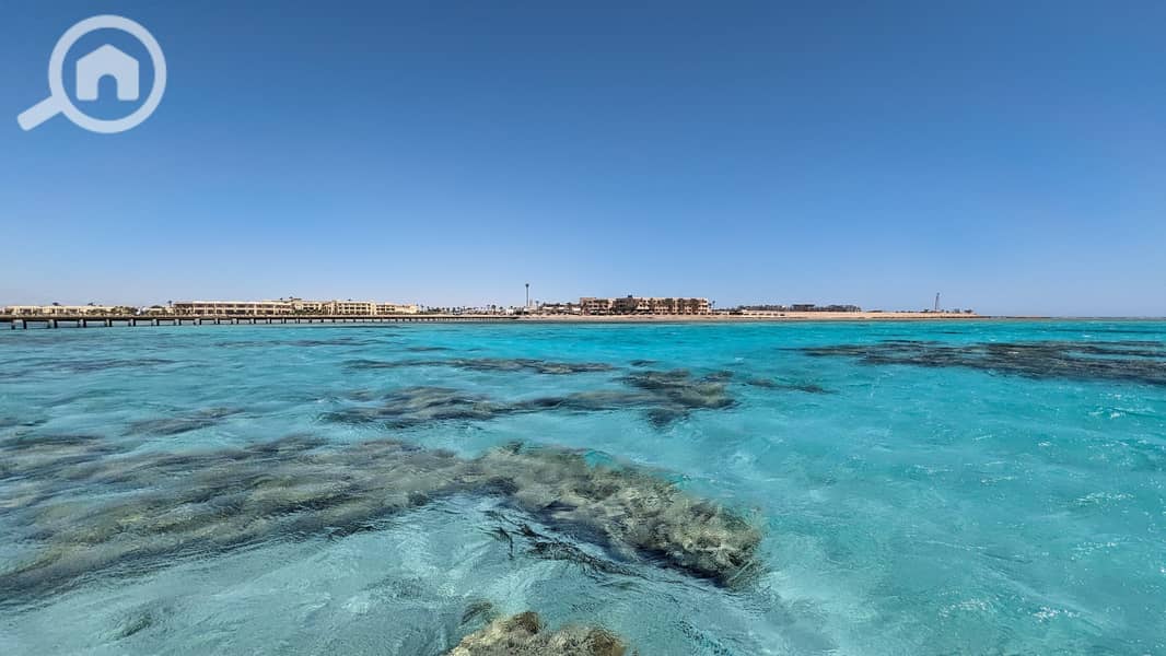 3 PXL_20230616_074741039-scaled. jpg