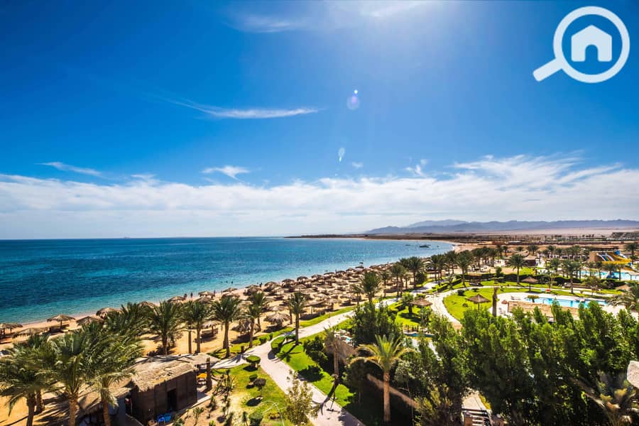 7 0b43d687-f22e-34a5-94d1-c3b405265674 (1). jpeg