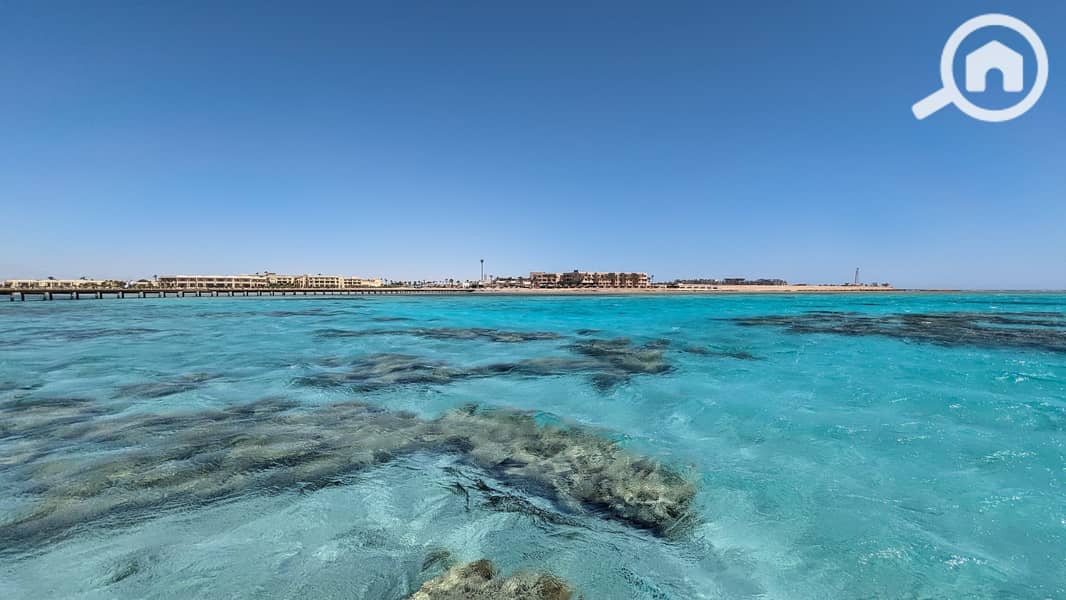 10 PXL_20230616_074741039-scaled. jpg