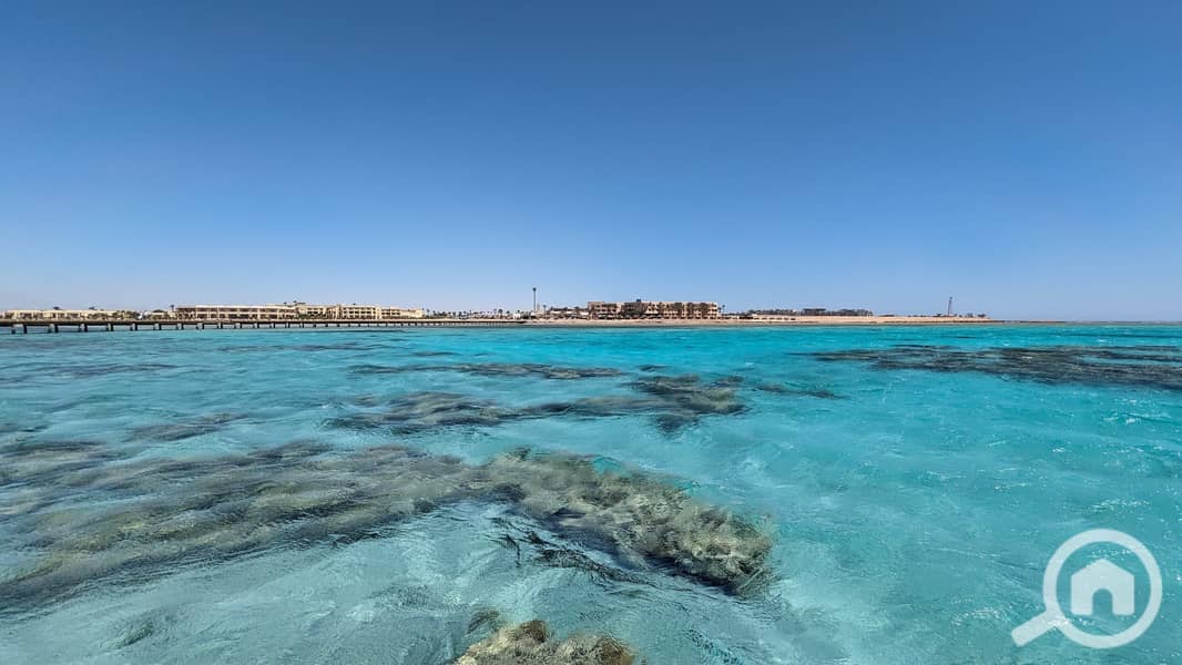 2 PXL_20230616_074741039-scaled. jpg