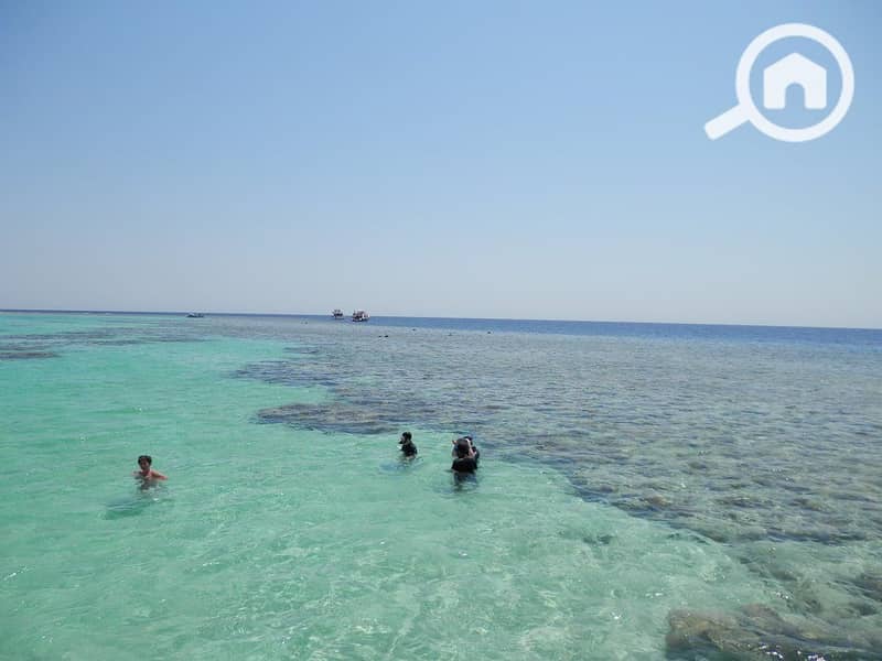 9 egypt-hurghada-soma-bay-beach-reef-orig. jpg