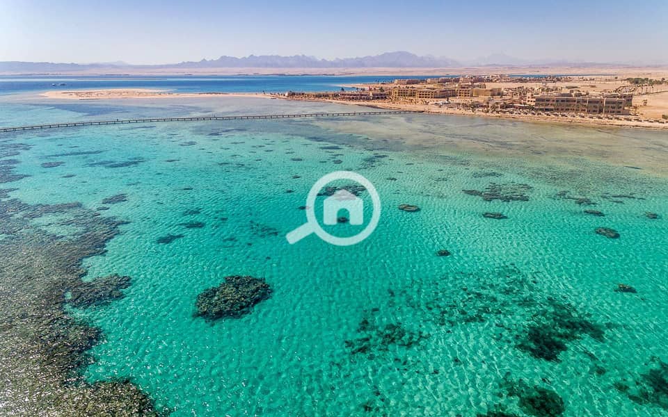 11 soma-bay-egypt. jpg