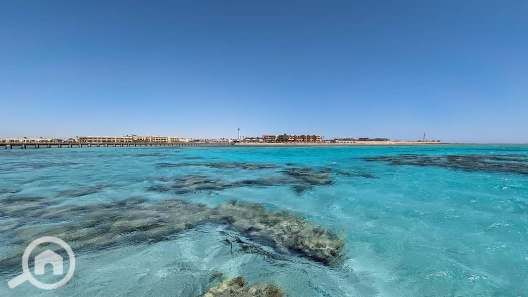 11 PXL_20230616_074741039-scaled. jpg