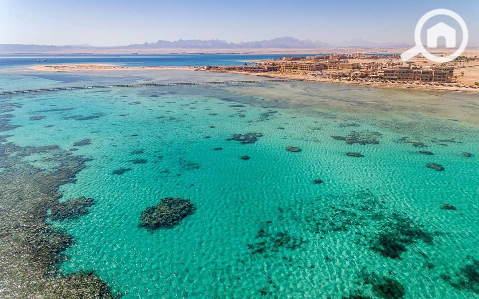 14 soma-bay-egypt. jpg