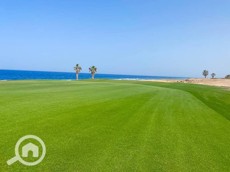 11 WhatsApp Image 2025-07-05 at 15.38. 53_ba56458b. jpg