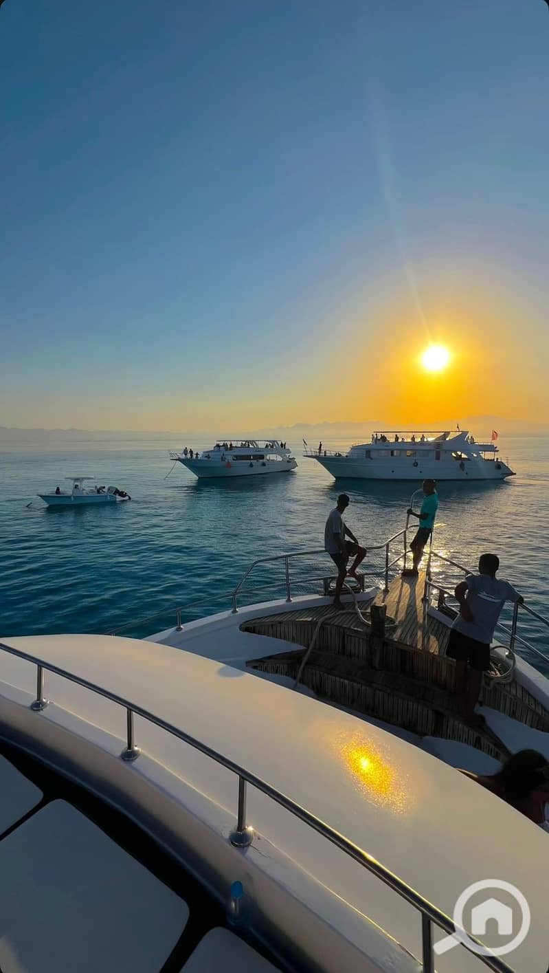 17 WhatsApp Image 2025-09-25 at 14.54. 20_d059330f. jpg