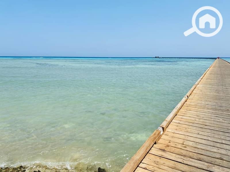 8 WhatsApp Image 2025-07-05 at 15.38. 52_33334b7d. jpg