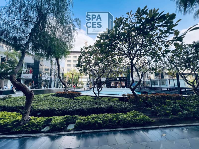 3 2025_10_05_16_27_IMG_6967. JPG