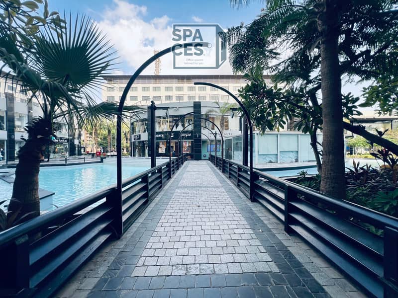 3 2025_10_05_16_28_IMG_6971. JPG