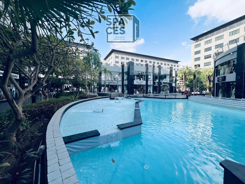 4 2025_10_05_16_28_IMG_6972. JPG