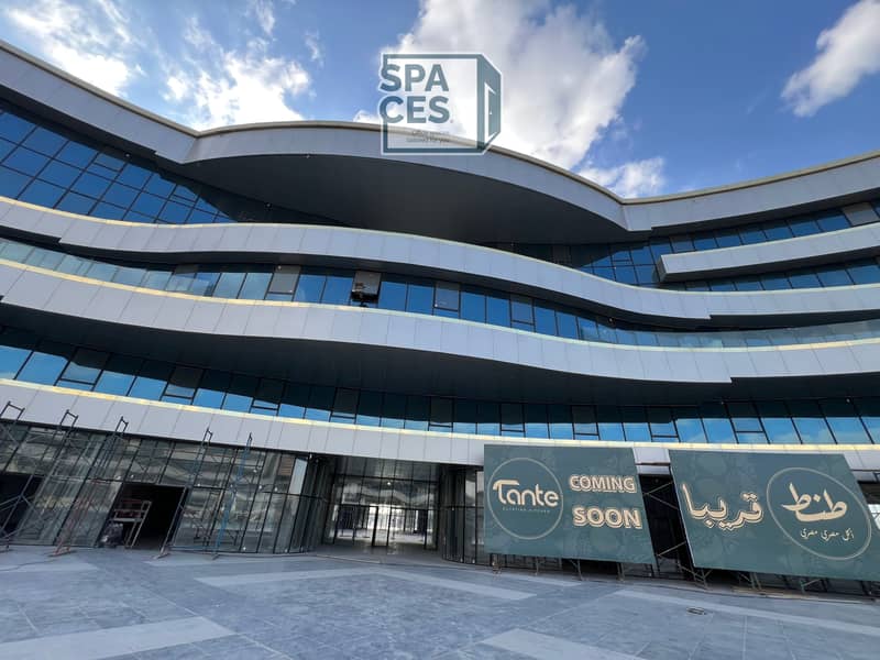 3 2025_02_23_15_38_IMG_7247. JPG