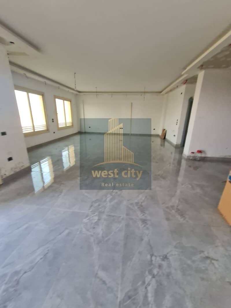 3 20251028_171655. jpg