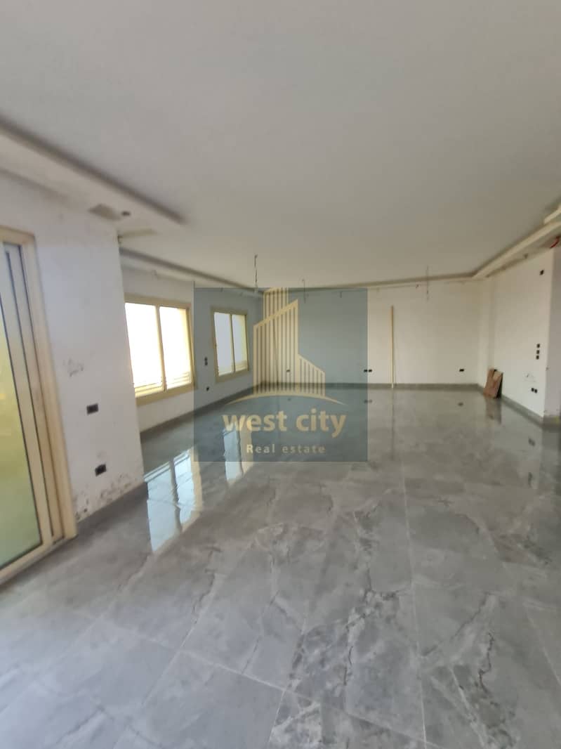 5 20251028_171700. jpg