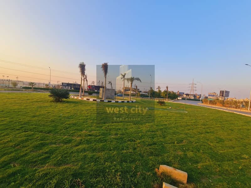 12 20251028_174446. jpg