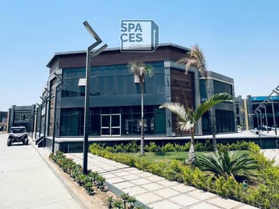 صالة عرض  للايجار في القطامية، القاهرة - IMG-20250811-WA0178. jpg