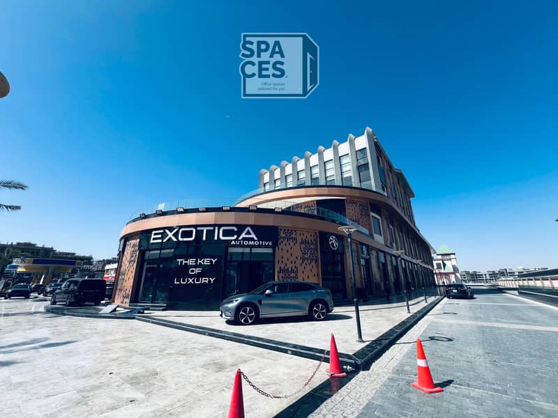 2025_03_25_14_14_IMG_8668. JPG 2025_03_25_14_14_IMG_8668. JPG