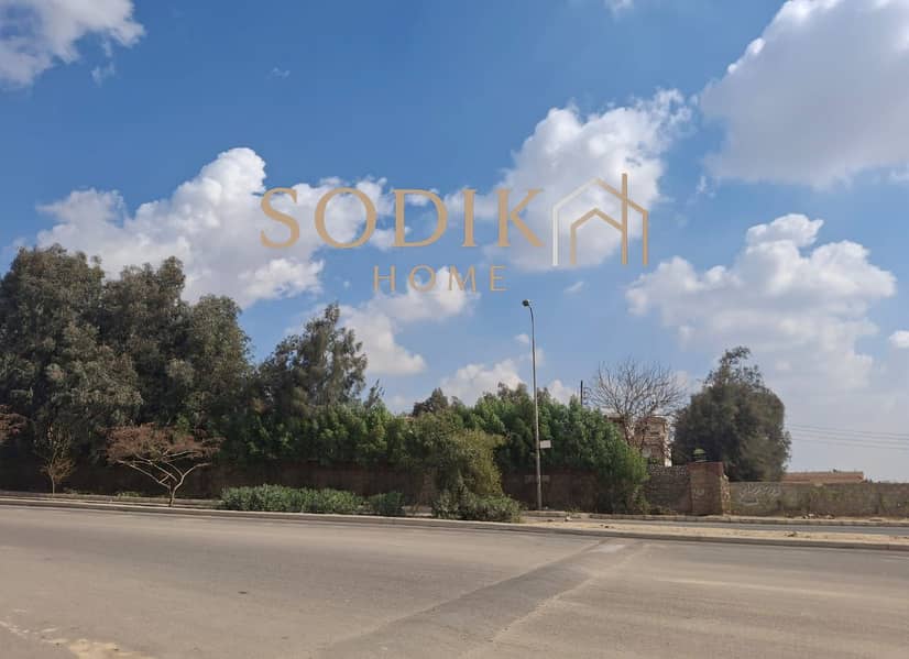 3 WhatsApp Image 2025-06-19 at 3.30. 10 PM (1). jpeg