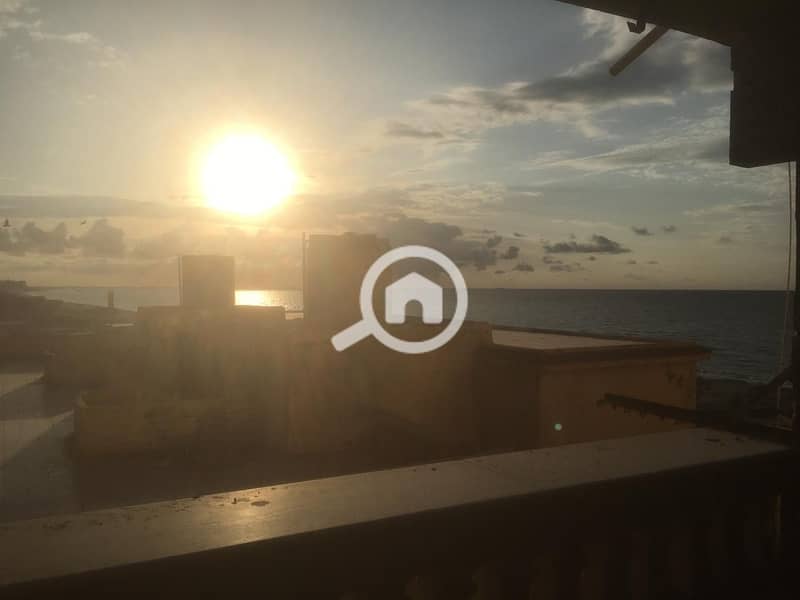 4 WhatsApp Image 2025-04-11 at 11.25. 21 AM. jpeg