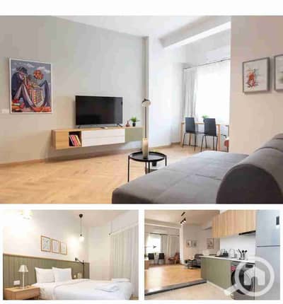 شقة فندقية 1 غرفة نوم للايجار في وسط القاهرة، القاهرة - 1000101771. jpg