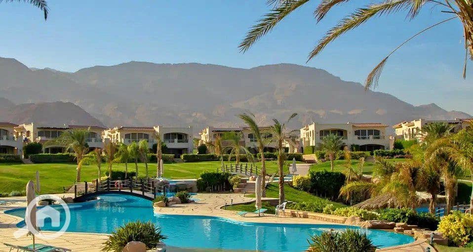 3 385070916_6447592945339069_2126501835468249567_n. jpg