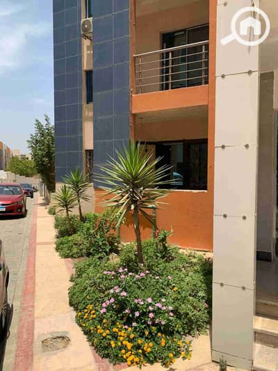 3 Bedroom Duplex for Rent in New Cairo, Cairo - IMG-20251031-WA0060. jpg