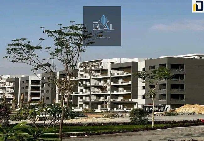 3 093c11c3-a5e9-40ad-a3e5-ef1202d44ed6. jpeg