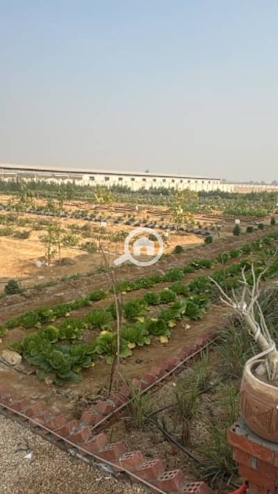 Agricultural for Sale in Abu Swear, Ismailia - Farm for sale in Ismailia, area of 1000 meters