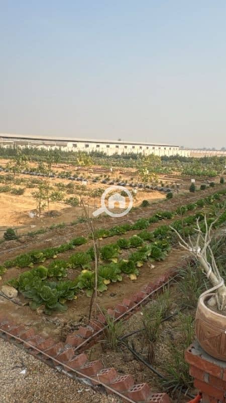 Farm for sale in Ismailia, area of 1000 meters