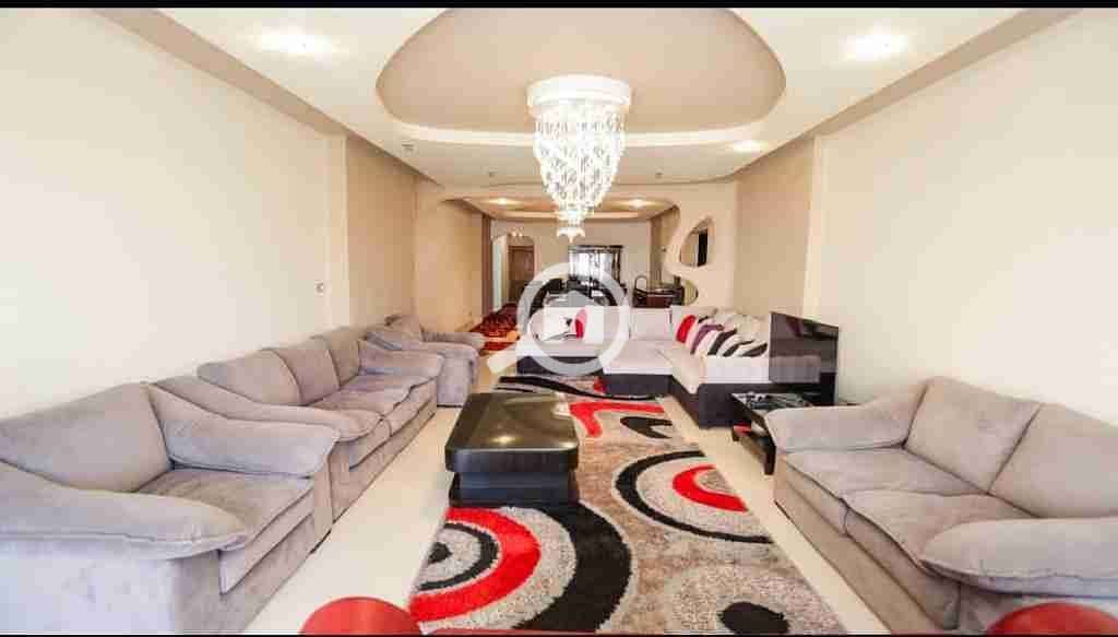 1000305426. jpg 1000305426. jpg