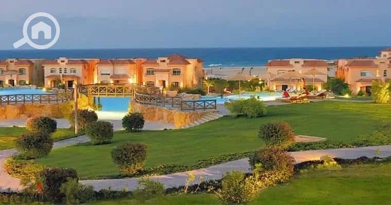 5 96975325-800x600. jpg