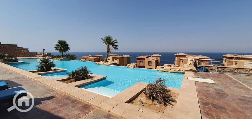 7 416040589_899281561610657_216761360007289149_n. jpg