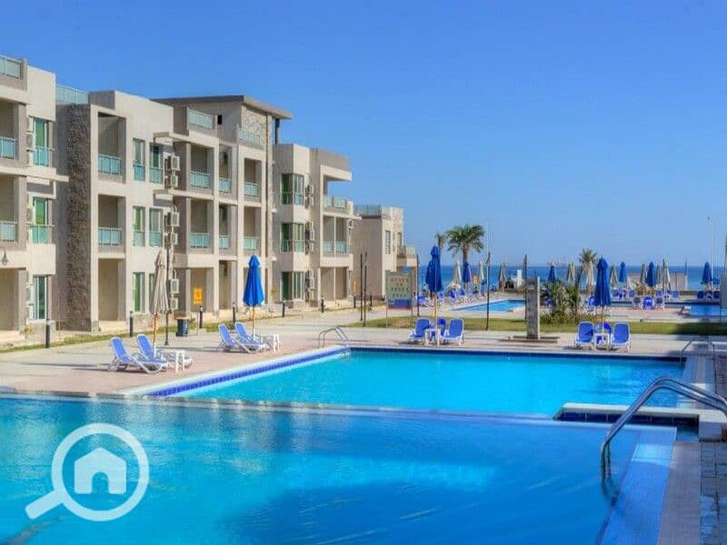 3 WhatsApp Image 2024-08-18 at 16.47. 54_3b115a3a. jpg