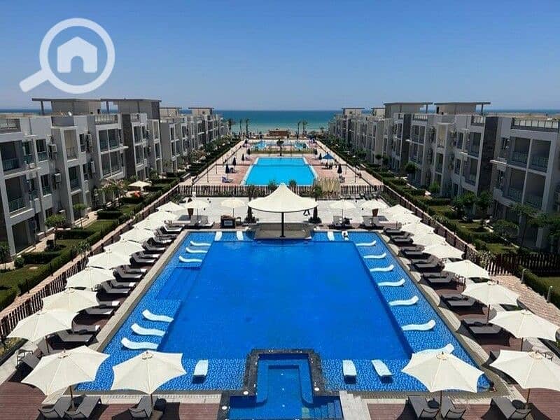 10 WhatsApp Image 2024-08-18 at 16.47. 54_635ec3c5. jpg