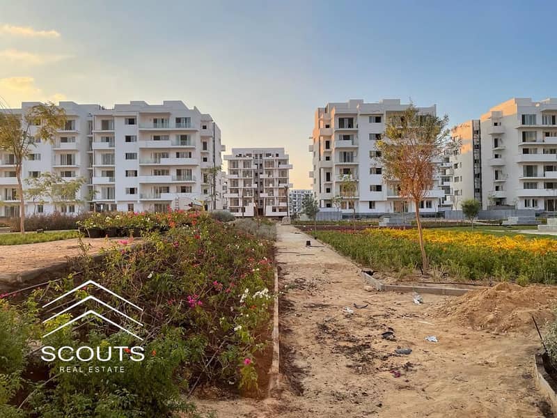 12 72eb4a37-b627-4fca-bd70-09837743a344. jpeg