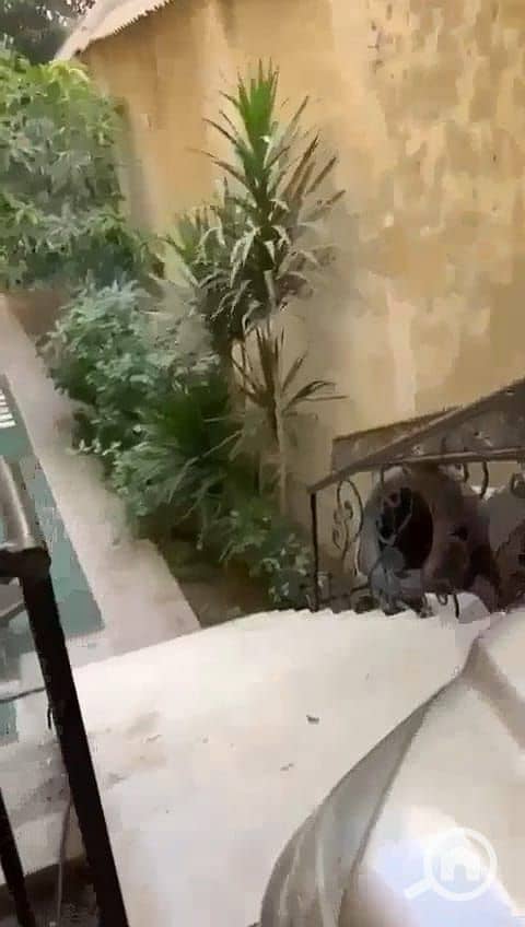 WhatsApp Image 2025-10-26 at 2.49. 35 PM. jpeg WhatsApp Image 2025-10-26 at 2.49. 35 PM. jpeg