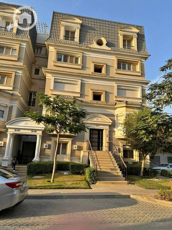 4 567688989_1335756234995947_2511567608272766290_n. jpg